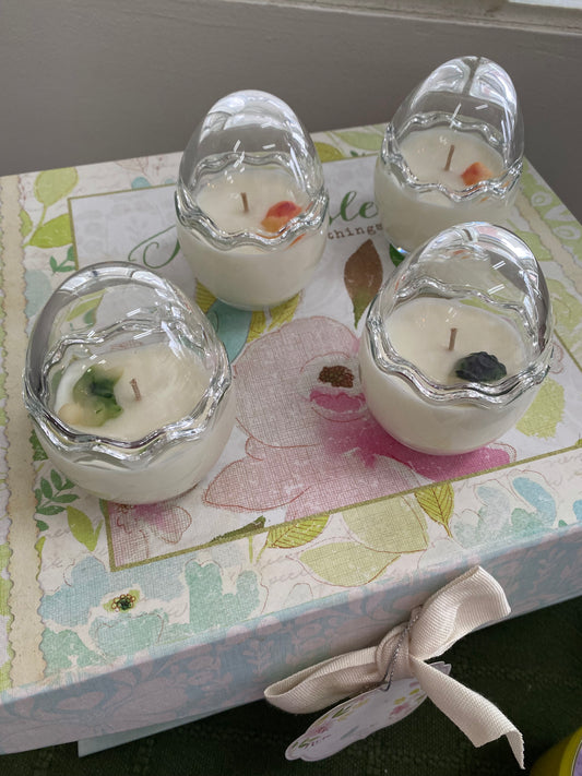 Everlasting Spring Eggs