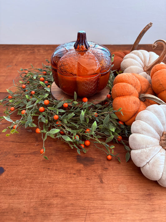 Spiced Pumpkin Heirloom Pumpkin