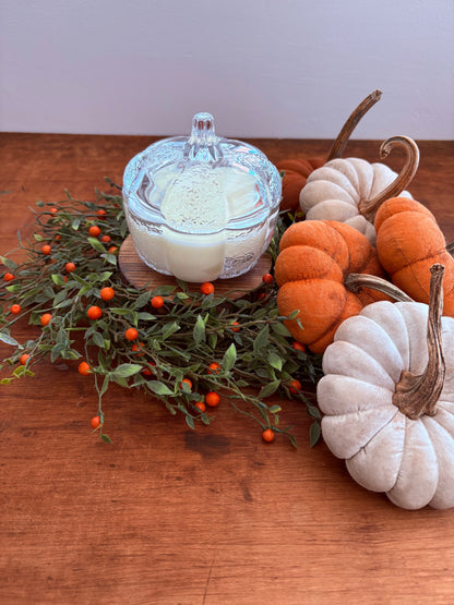 Pumpkin Medley Heirloom Pumpkin